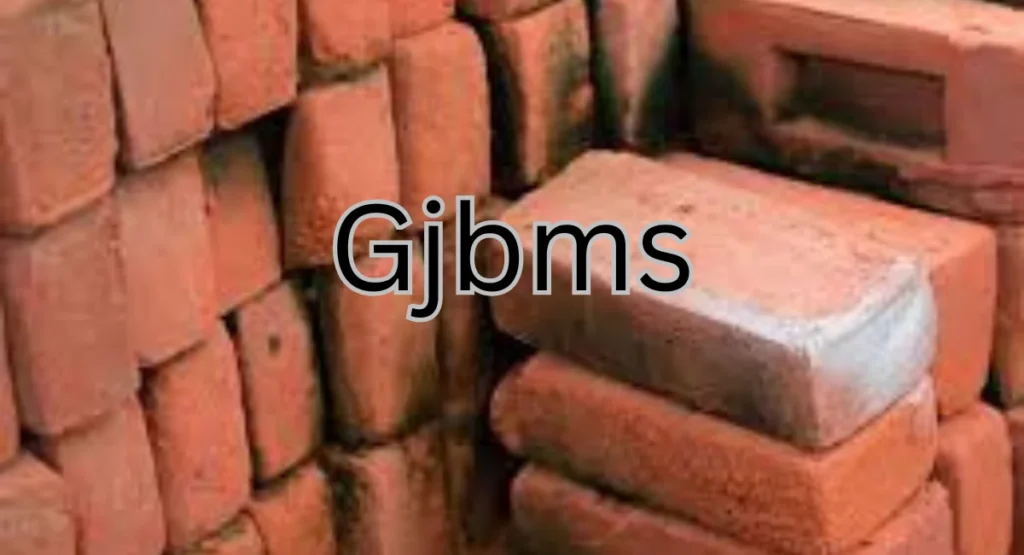 Clay Bricks