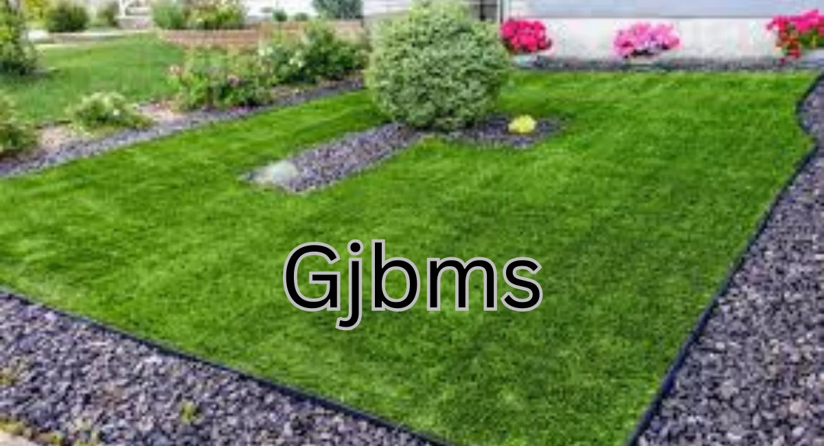 Artificial Grass Installation Cost in Pakistan: What to Expect