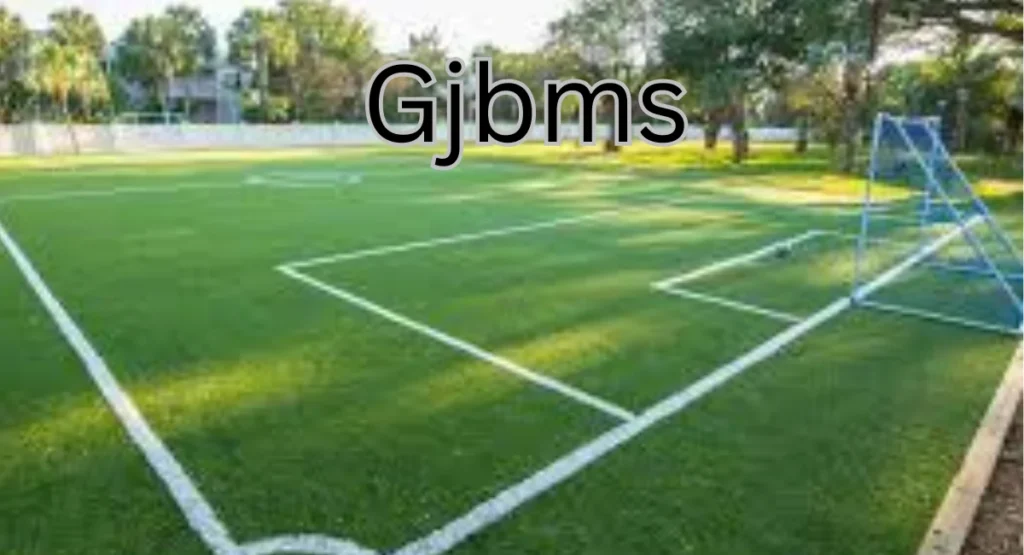 Artificial Grass for Sports Fields