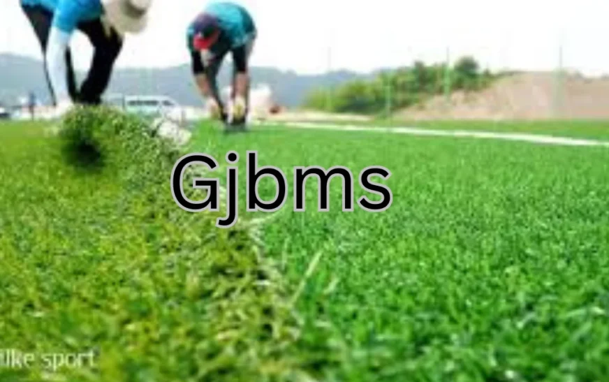 Artificial Grass for Sports Fields in Pakistan: Price and Quality Guide