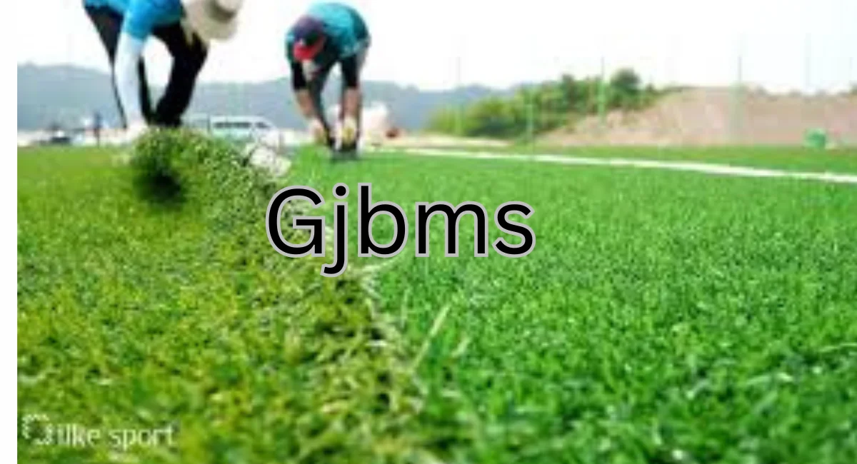 Artificial Grass for Sports Fields in Pakistan: Price and Quality Guide