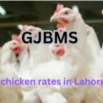 Chicken Rate Today in Lahore