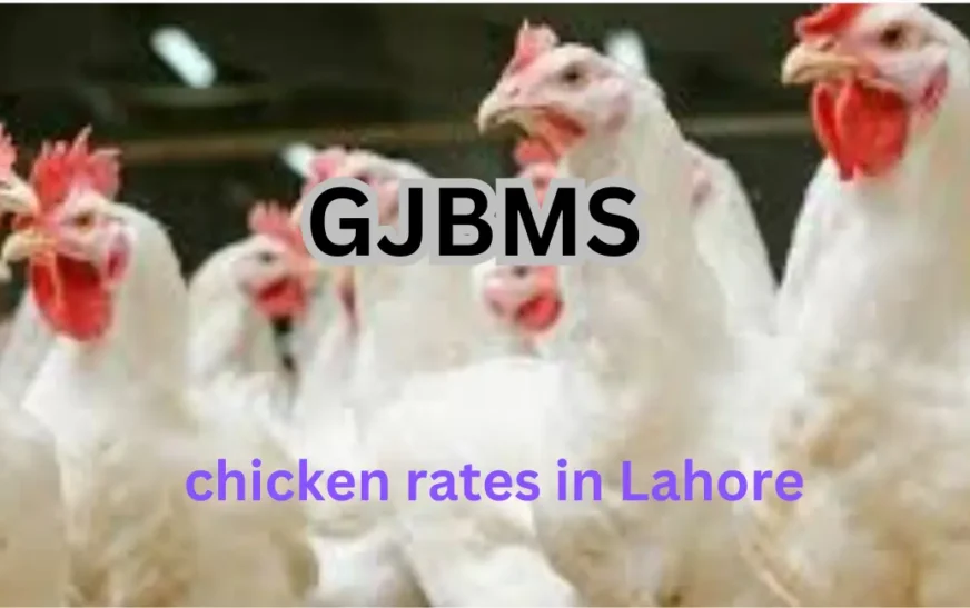 Chicken Rate Today in Lahore, February 2025