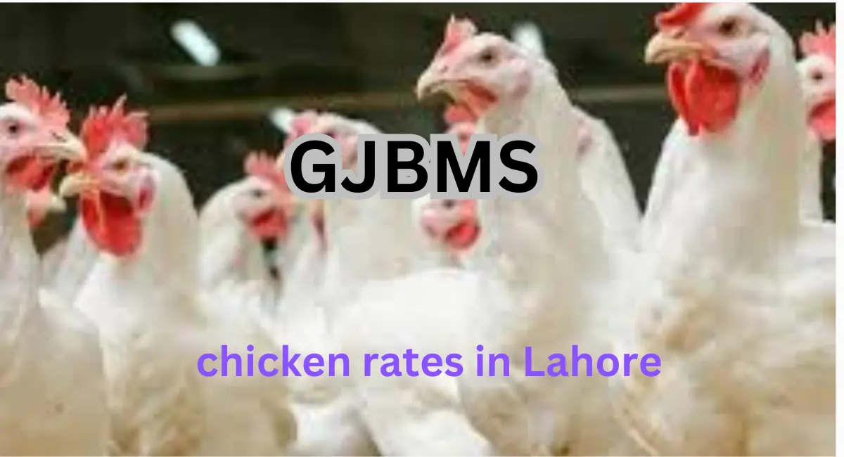 Chicken Rate Today in Lahore, February 2025